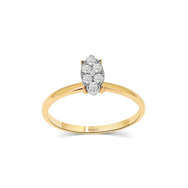 Clustered Ring